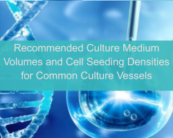Recommended Culture Medium Volumes and Cell Seeding Densities for Common Culture Vessels - cover